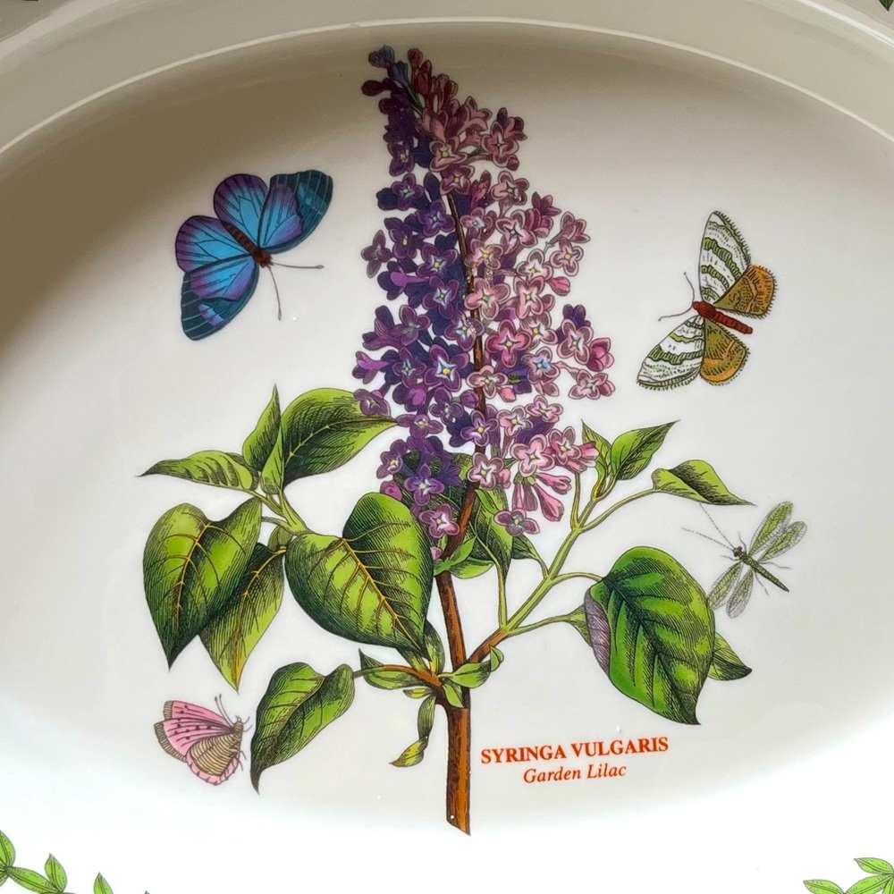 Portmeirion Botanic Garden oval gratin dish. 12.5” x 8”. NWT❣️ - Picture 7 of 7